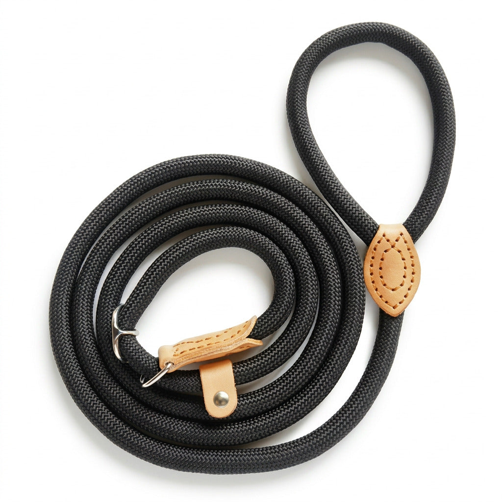 Snouty Everyday Training Lead
