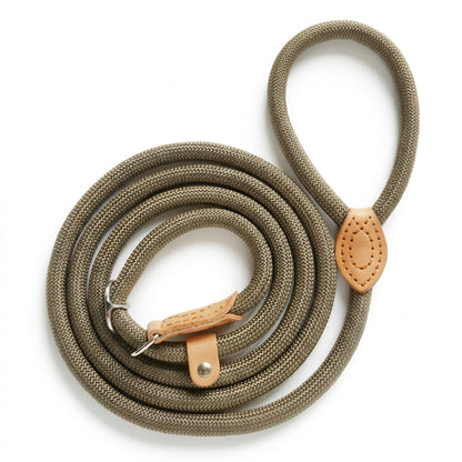 Snouty Everyday Training Lead